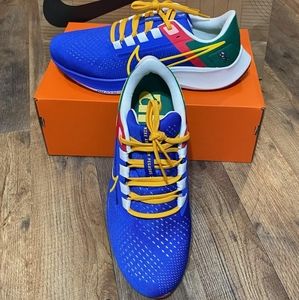 Nike Air Zoom Pegasus 38 A.I.R. Jordan Moss